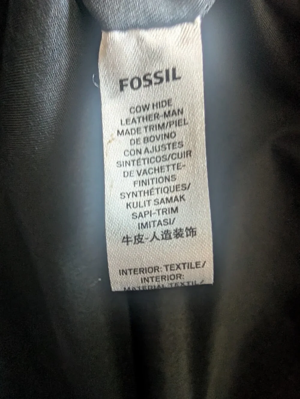 Fossil great pre